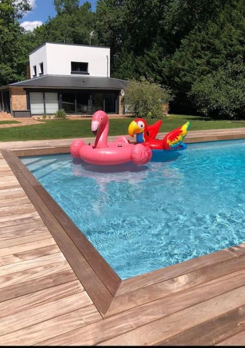 Magnifique Villa Avec Piscine En Sologne Vouzeron Buitenkant foto